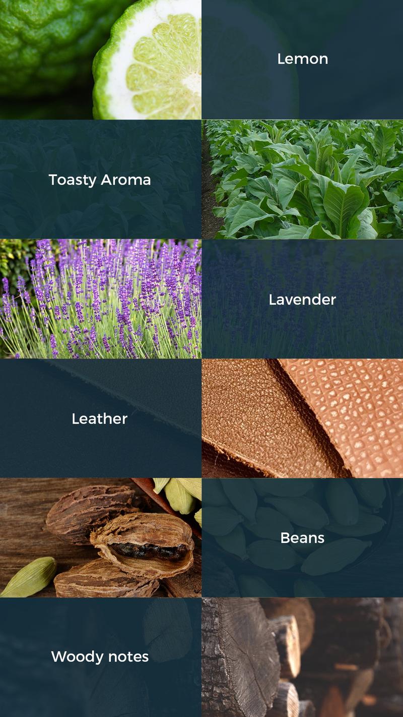 Lopeie Polo Sport Inspired Cologne  for Men 50ml Long Lasting Woody Perfume Fresh Sporty Amber Leather and Lavender Fragrance