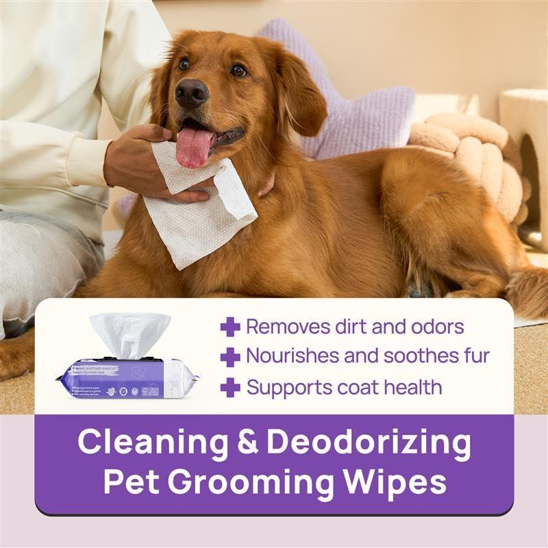 Dog&Cat Moisturizing Wipes, HICC PET Plant-Based Gentle Deodorizing Nourishes Fur Rose Scent, Biodegradable Sensitive Grooming for Family Pets - Paws