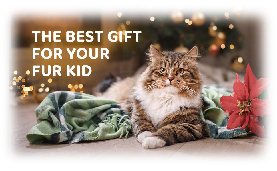 Bear Shape 3-in-1 Pet Steam Brush, Self-Cleaning Dog Cat Grooming Tool with Spray & Massage for Shedding Control Removal