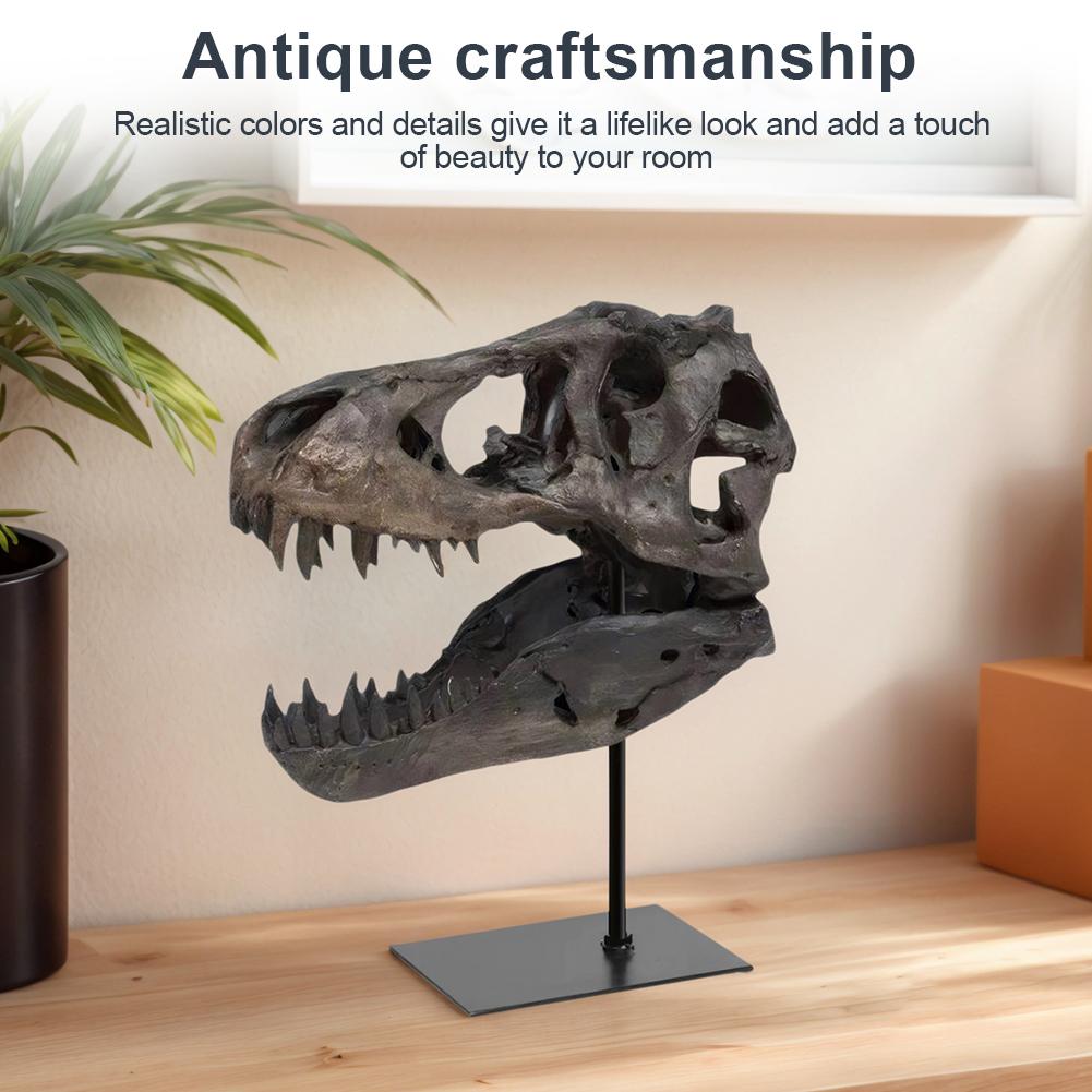 Dinosaur Skull Statue,Dinosaur Sculptures Bracket Tyrannosaurus Skull Replica Decoration Skull Bones Resin Replica with Bracket for Home Office Decor Shelf Display