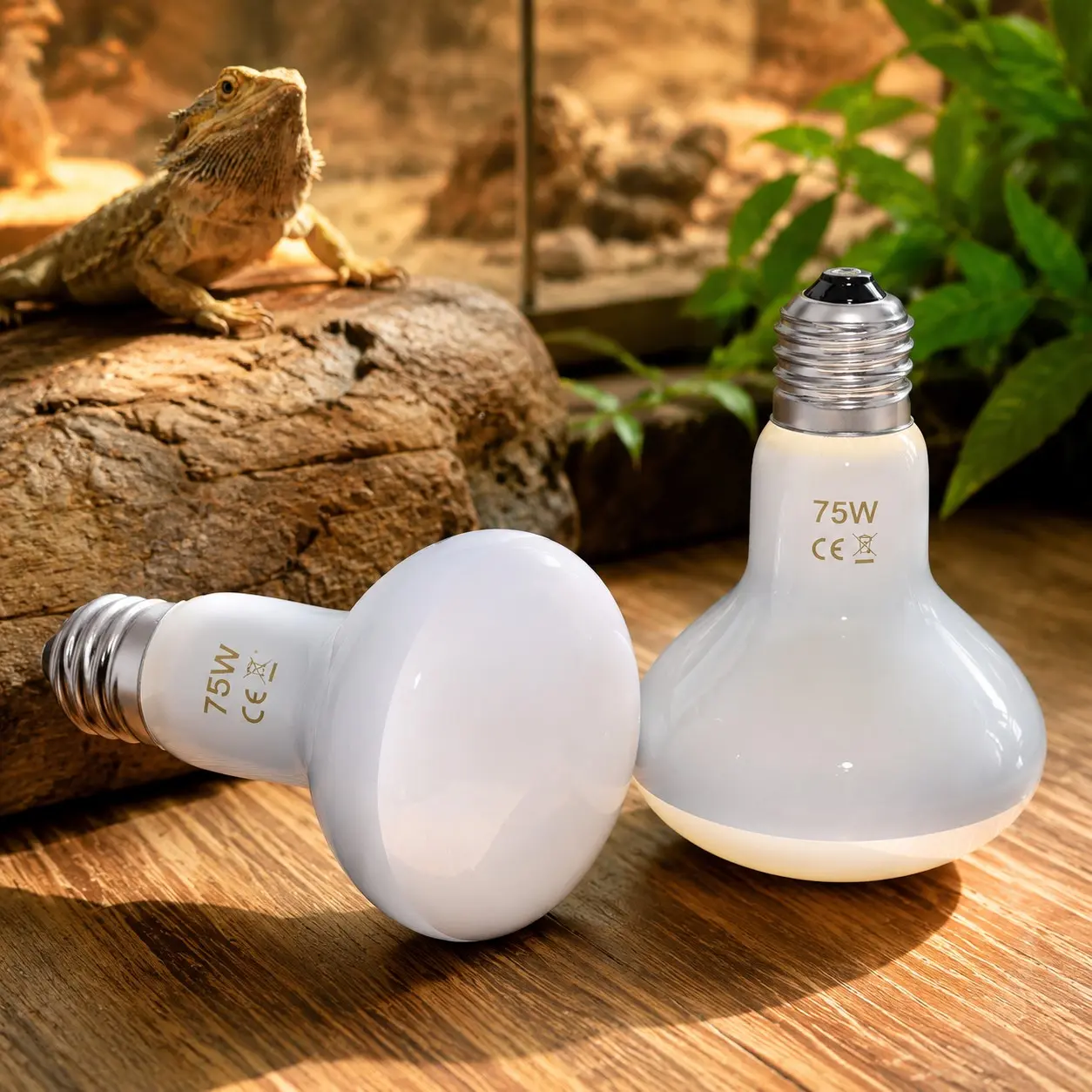 75W Incandescent UVA Bulb Heat Lamp Pack of 2 - Simulated Sunlight Reptile Basking Lamps for Bearded Dragons & Small Pets