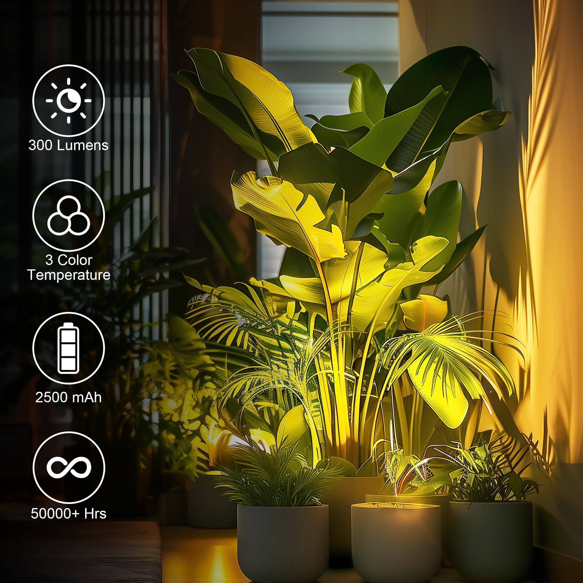 2 Pack Wireless Spot lights Indoor, Rechargeable Uplighting Indoor with Timer＆Dimmable, 3CCT Tree Lights Indoor Battery Operated, LED Spotlight Accent Up lights Indoor for Plant, Artwork, Plant -White