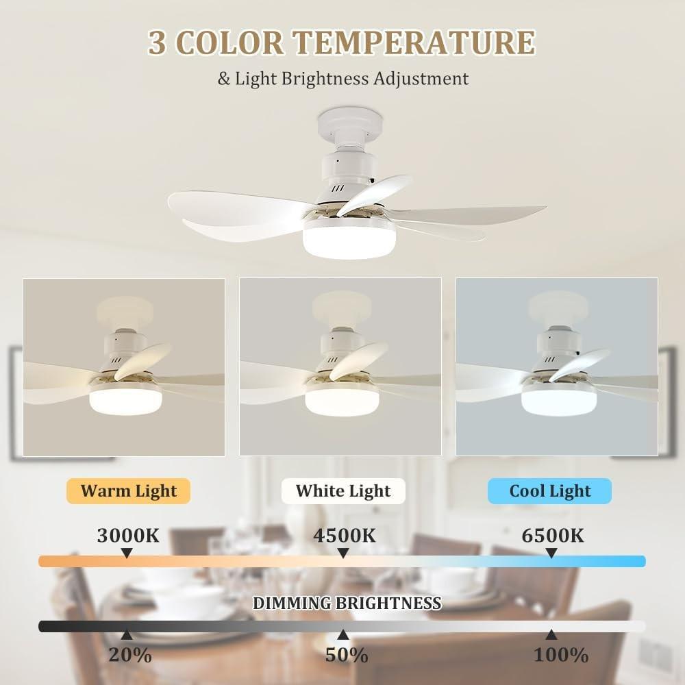 Portable Mini Ceiling Fan with Light Bulb, Remote Control, 20 Inch Screw Fan, E26 Base, 40w/3000k-6000k, for Bedroom, Kitchen, Living Room