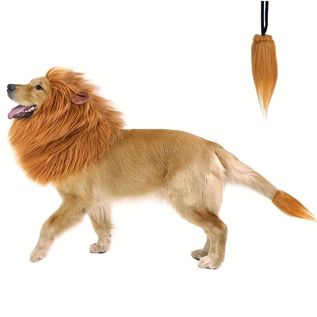 Lion Mane Dog Costume, Lion Mane Wig for Medium to Large Dogs, Halloween for Big Dogs, Fun Pet Dress-Up Gear Lion Mane Dog Costume, Lion Mane Wig for Medium to Large Dogs, Halloween for Big Dogs, Fun Pet Dress-Up Gear