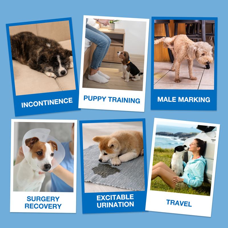 DONO: Disposable Male Female Dog Wraps Diapers,Rapid-Dry Gel Technology,Super Absorbent,Breathable,Simple To Use,Not Easy To Slide,Multiple Sizes And Package Quantities,Cute Dog Paw Print Pet Products，pamper dog