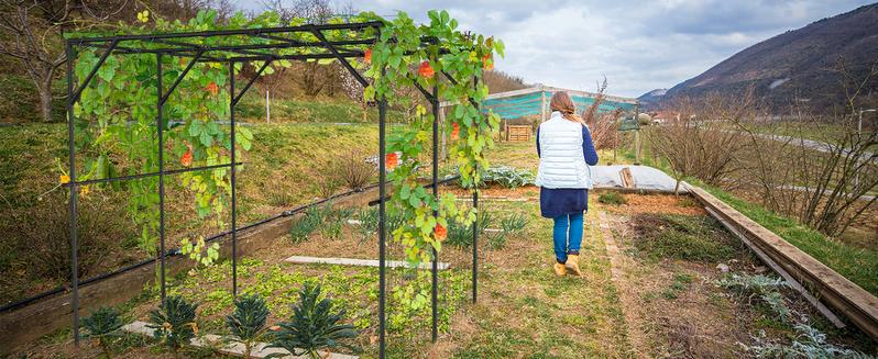 Lilypelle Extra Tall Garden Arch Trellis for Climbing Plants Outdoor, 79" / 87" H Metal Arbor Plant Support Trellis Archway for Yard Lawn Garden