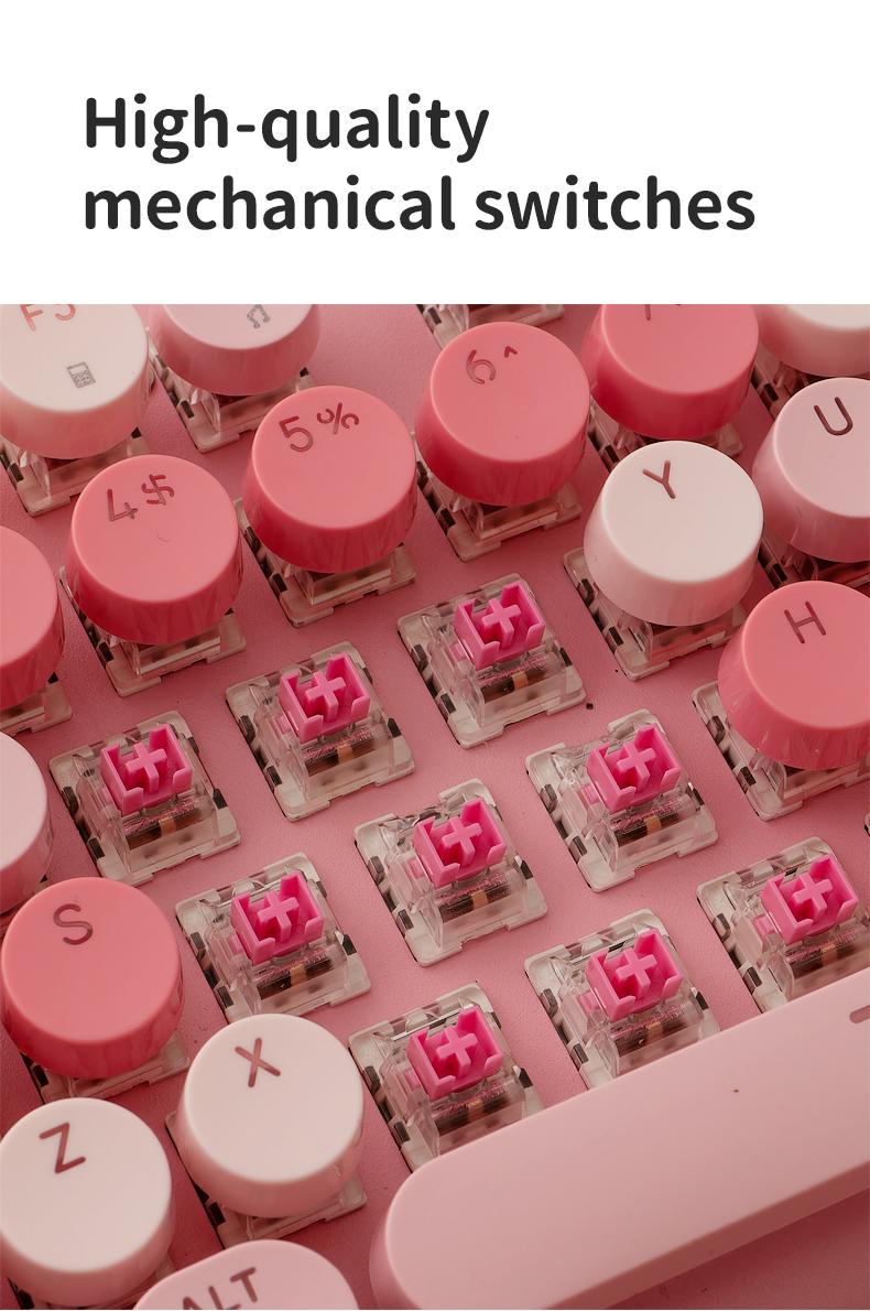 Cute Full Size Wired Keyboard for Girls, White Backlit Typewriter Keyboard with Volume Knob, Light Switch Button and Foldable Stands, Wired Keyboard with Number Pad for Computer PC Laptop