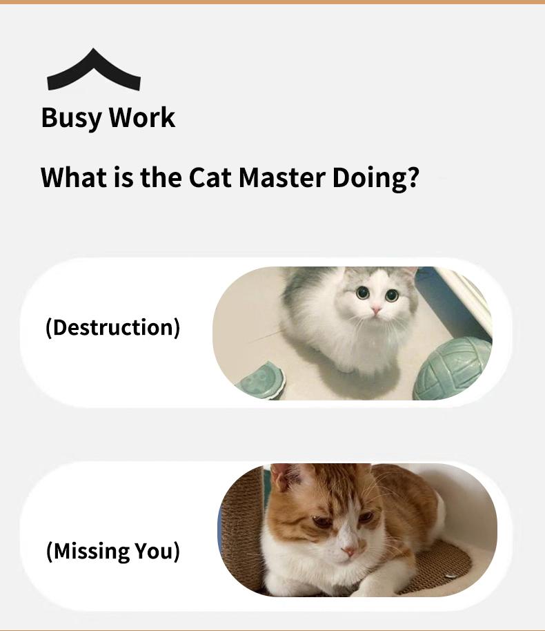 1 fast-moving cat toy ball with tail - automatic rolling ball - intelligent induction activation - can be charged by usb - suitable for large, medium and small cats to play indoors