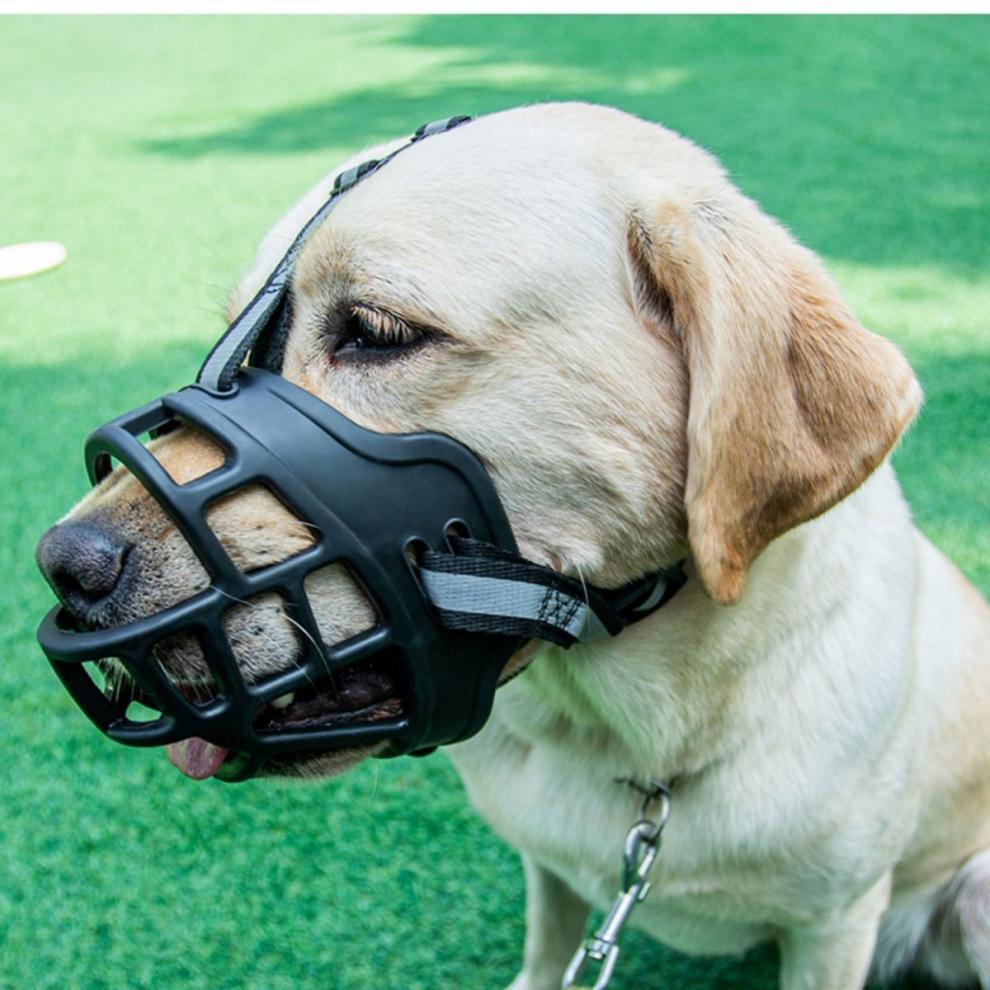 2026 Dog Muzzle to Prevent Eating and Barking, Anti-Barking Device for Small, Medium, and Large Dogs, Pet Anti-Barking Mouth Cover