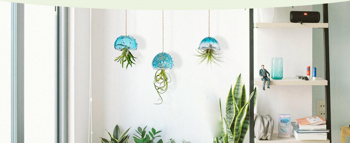 Hanging Air Plant Holder: 3Pcs Glass Jellyfish Air Plant Hanger with Jute Ropes for Tillandsia Succulent Houseplants