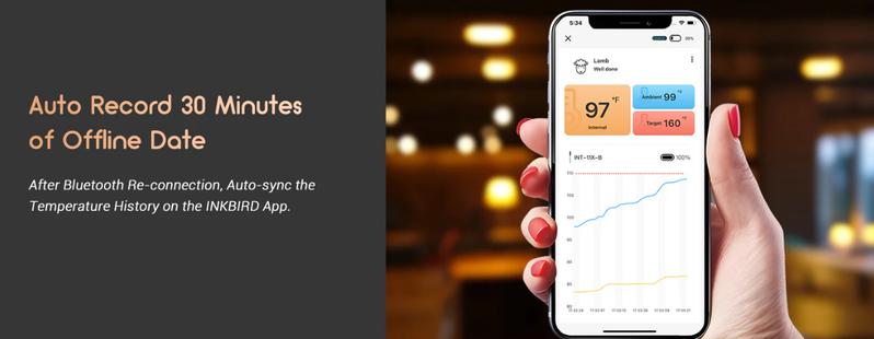 INKBIRD meat thermometer, wireless Bluetooth thermometer, suitable for barbecue, cooking, parties, kitchen utensils，Holiday Gifts-TikTokShopBlackFriday