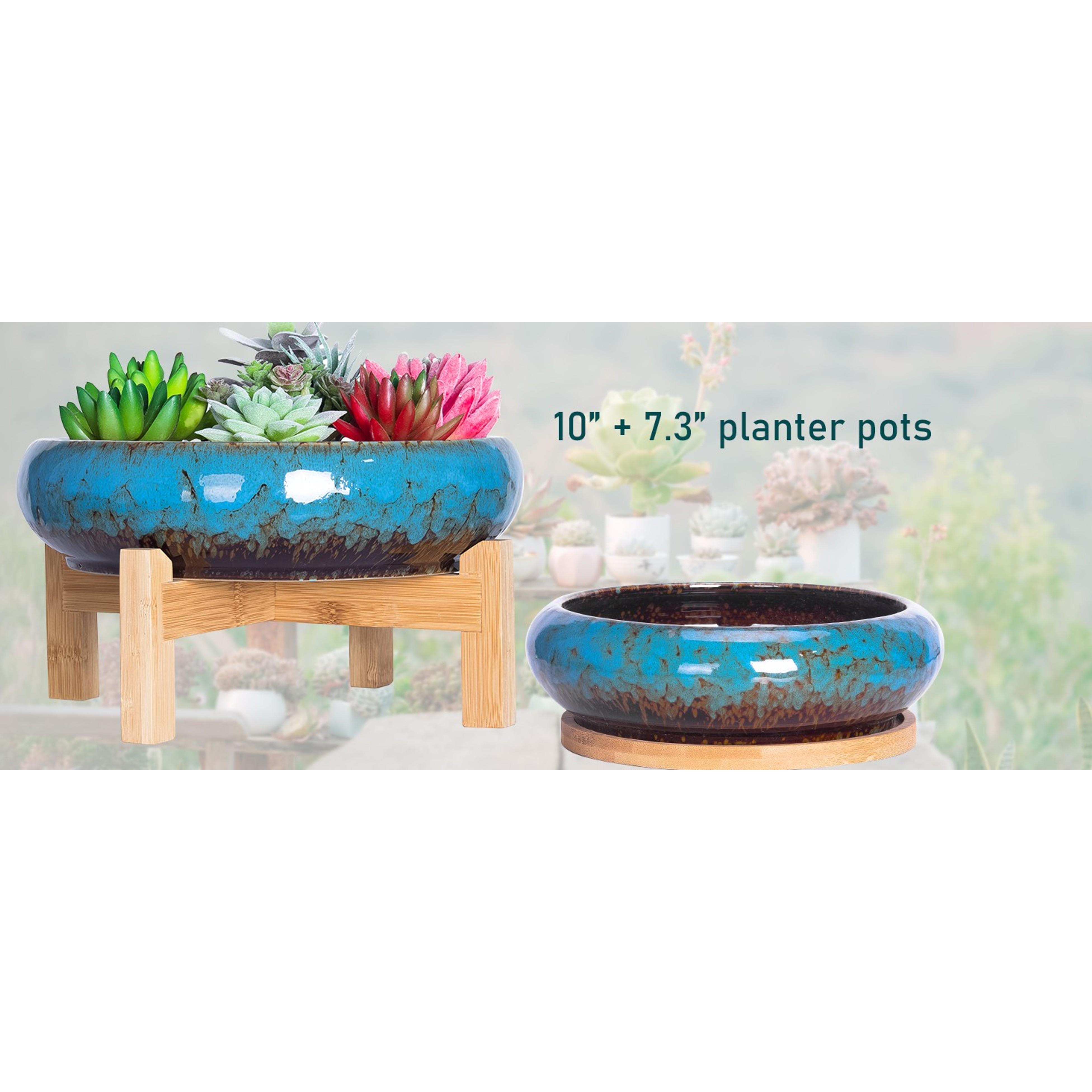 Succulent Pots - 11.5 Inch Ceramic Bonsai Pots with Drainage, Large Shallow Succulent Planters for Indoor Outdoor Plants, Round Glazed Cactus Flower Plant Container Bowl Home Desk Decor(Blue)