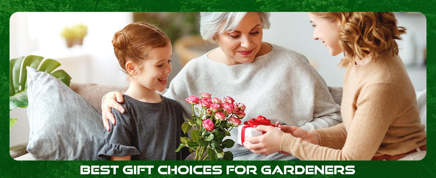 DECERK 8.5" Professional Bypass Pruning Shears for Gardening, Garden Pruner Scissors & Clippers for Fruit Tree Branch Trimming, Ultra Sharp SK5 Blade, Ergonomic Handle, Gardening Gift Women Men wood finish flower - 2025 Heavy Duty Tools for springtok DECERK 8.5" Professional Bypass Pruning Shears for Gardening, Garden Pruner Scissors & Clippers for Fruit Tree Branch Trimming, Ultra Sharp SK5 Blade, Ergonomic Handle, Gardening Gift Women Men wood finish flower - 2025 Heavy Duty Tools for springtok