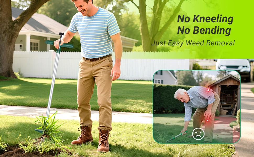 Classic Weeder Tool - Long Handle Weeder Puller with 3-Claw Head | Standing Root Extractor for Dandelions & Tough Grass| Garden Clearance Special (1 Pack)