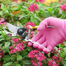 Gardening Tools Set, 10 PCS Stainless Steel Heavy-Duty with Non-slip Soft Rubber Handle with Large Garden Bag, Floral Pattern Gardening Tool Set Gifts for Women Birthday Mother's Day, Pink