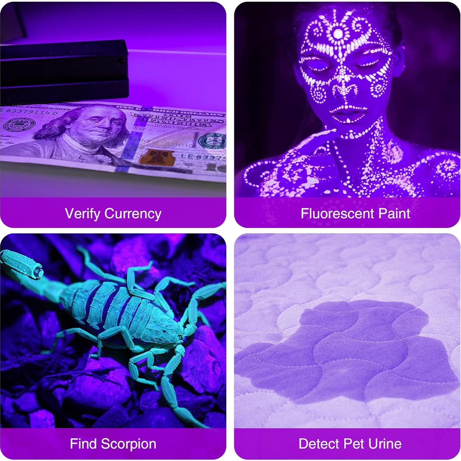 Wild Bright 2-pack portable 12-LED ultraviolet flashlight with 395nm wavelength, black light detector for dog urine and pet stains, fluorescent aluminum detector, suitable for outdoor hiking and garden search, 6*AAA batteries not included