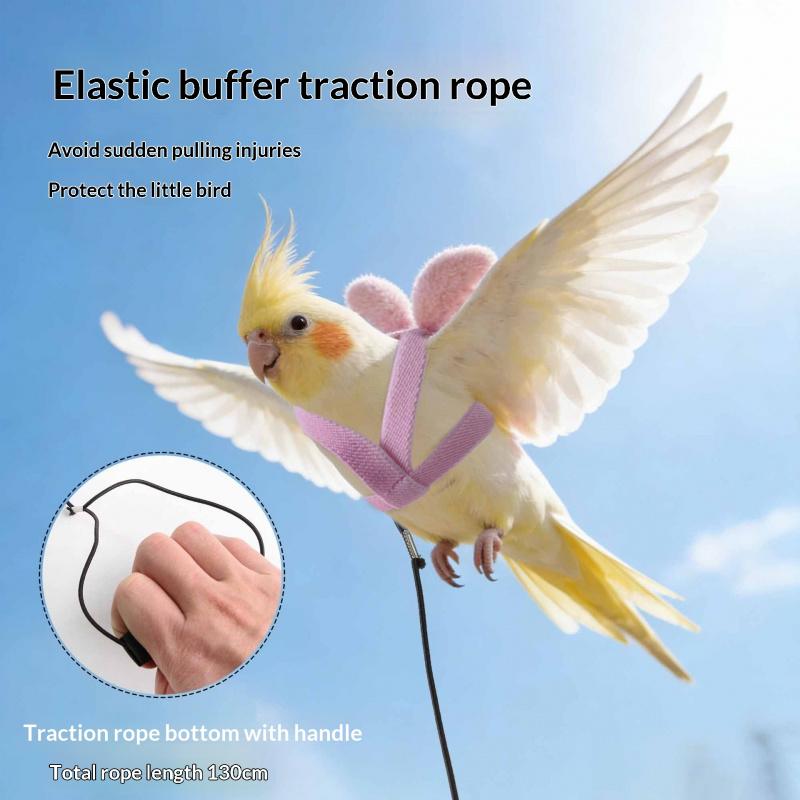 Adjustable Parrot Harness Leash Set, Suitable for Budgies, Lovebirds, Sun Conures, Small Pet Bird Training Kit, Comfortable & Secure