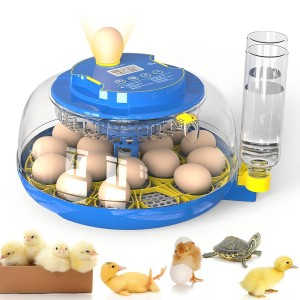Egg incubator