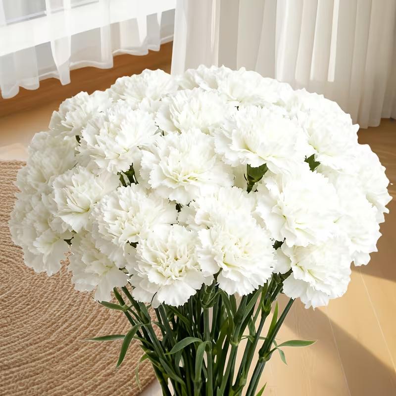 10pcs Artificial Carnations, Plastic & Realistic, for Weddings, Valentine’s, Mother’s Day, Seasonal Decor, Event Planners, Home Stylists