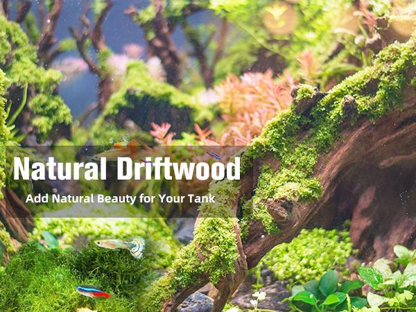 Large Coral Driftwood for Aquarium Decor Fish Tank Decorations Reptile Decor, Assorted Driftwood Branch 13 to 17 Inch Pack of 1