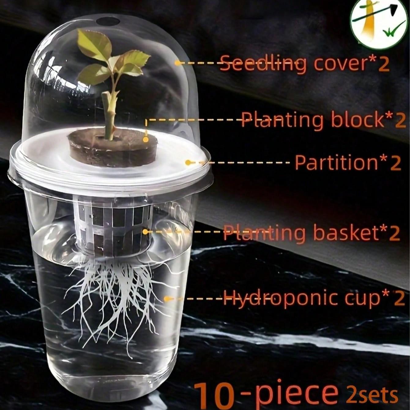 Transparent Hydroponic Seedling Pot, High Transparency Design, Aeration Feature, Ideal for Plant Propagation, Office Home Garden Decor
