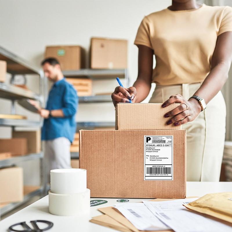 PL80E Bluetooth Thermal Shipping Label Printer, Wireless 4x6 Shipping Label Printer for Small Business.