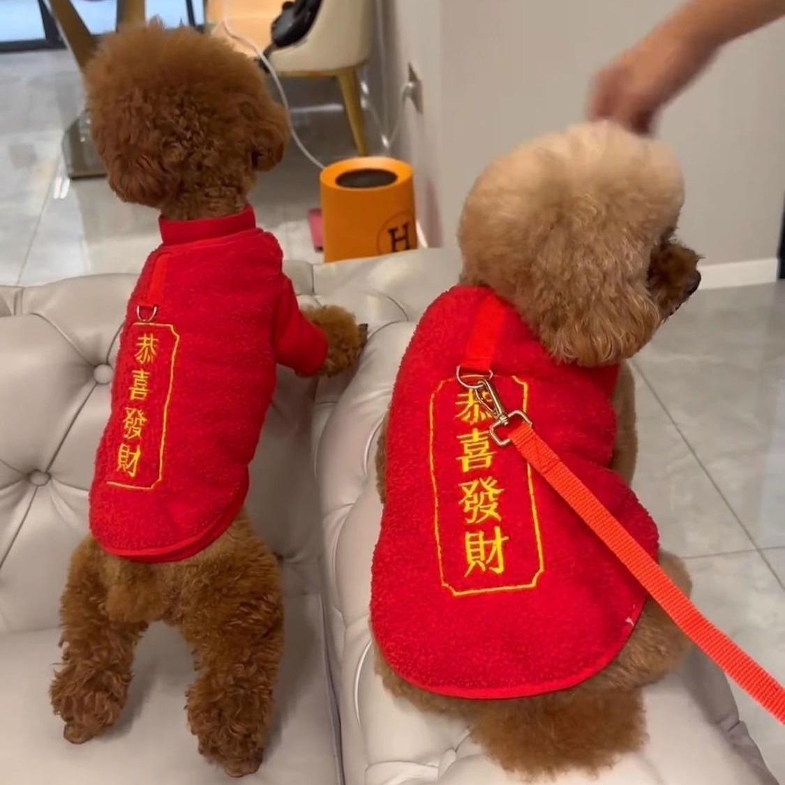 Leash Compatible Festive Dog Clothes New Year for Teddy Bichon Small Dogs Autumn Winter Fleece Vest