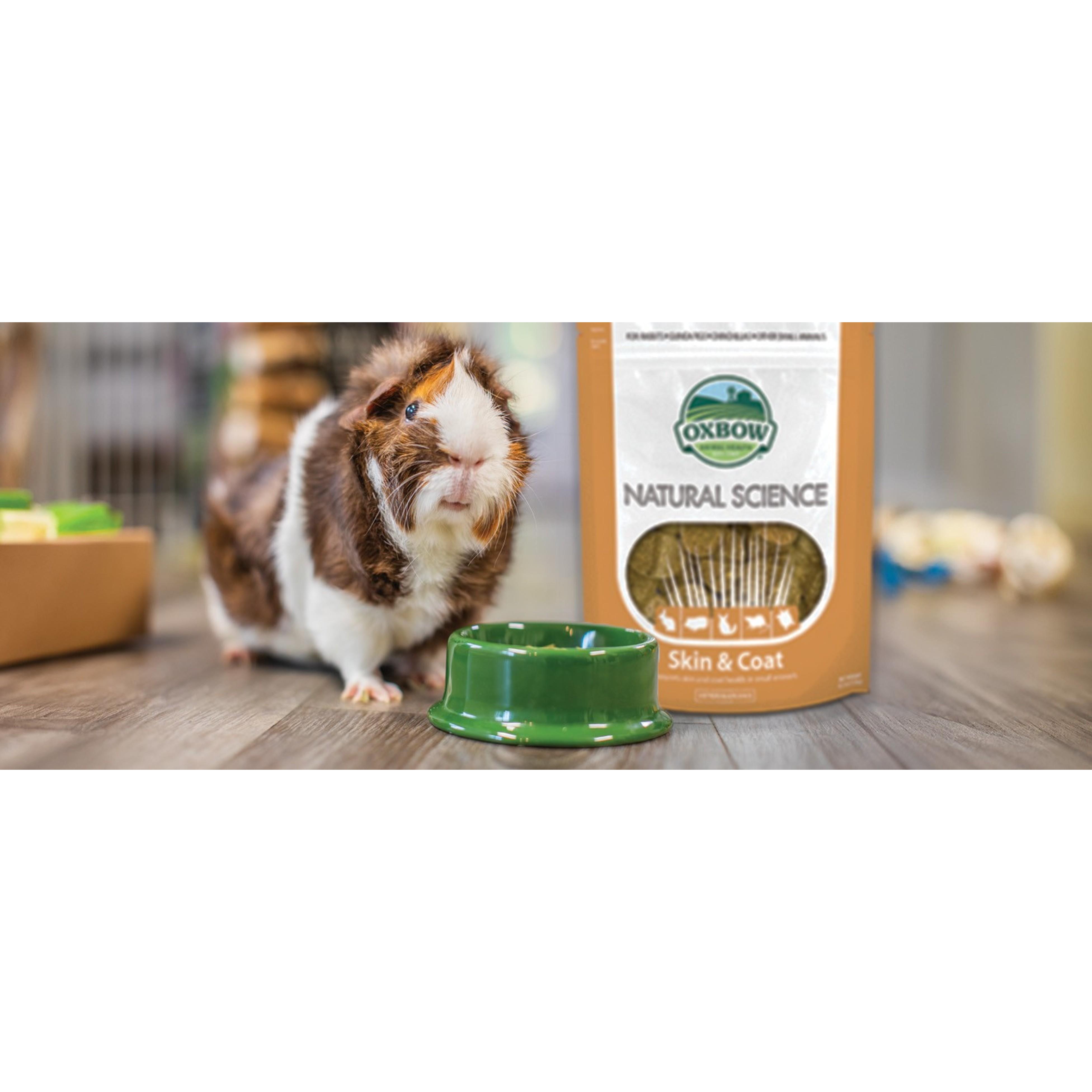 Natural Science Urinary Supplement for Rabbits & Guinea Pigs, 4.2 oz