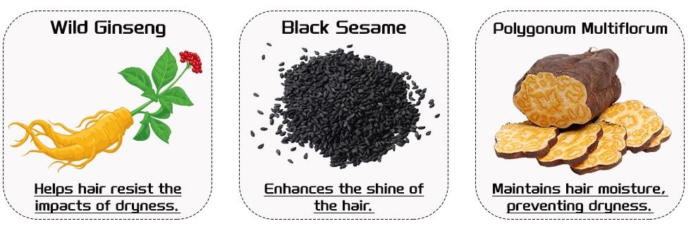 DUNTAIL 3 in 1 Hair Dye Shampoo,Hair Color Shampoo with Herbal Ingredients,Contains Ginseng Extract,Natural Haircoloring,Plant Haircare, black hairdye