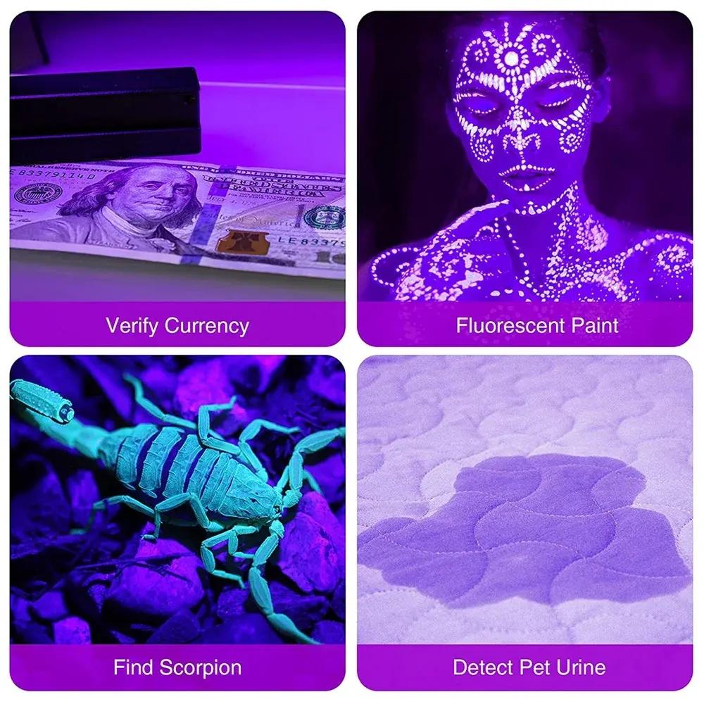 UV Handheld Waterproof Light Flashlight, 12 LED 395nm Mini Detector for Pet Urine Stains, No Battery Included