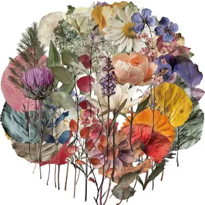 50-Piece Plant Stickers for Scrapbooking, Journaling & Crafting – Realistic Botanical Leaves, Ferns, and Tropical Plants, Self-Adhesive Decorative Stickers