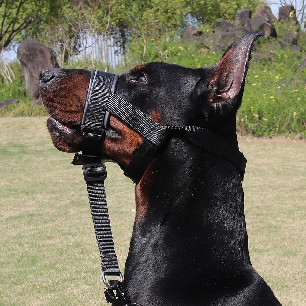Adjustable Leather Dog Muzzle, Anti-Bite and Bark Control, Harness-Attached, Medium to Large Dogs, Durable Pet Accessory