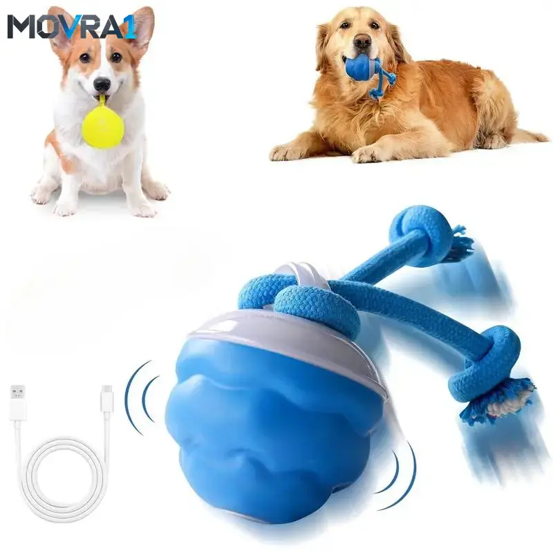 MOVRA1 Interactive Dog Toys with Motion Activated, Squeaky Dog Toy Active Ball Wicked Ball Daily Training,Used cats and dogs, pet accessories, cute pet toys