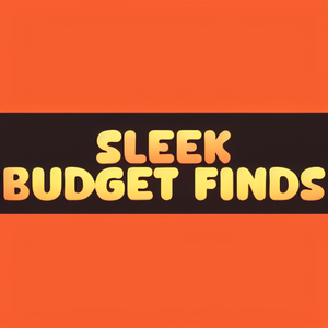 Sleek Budget Finds