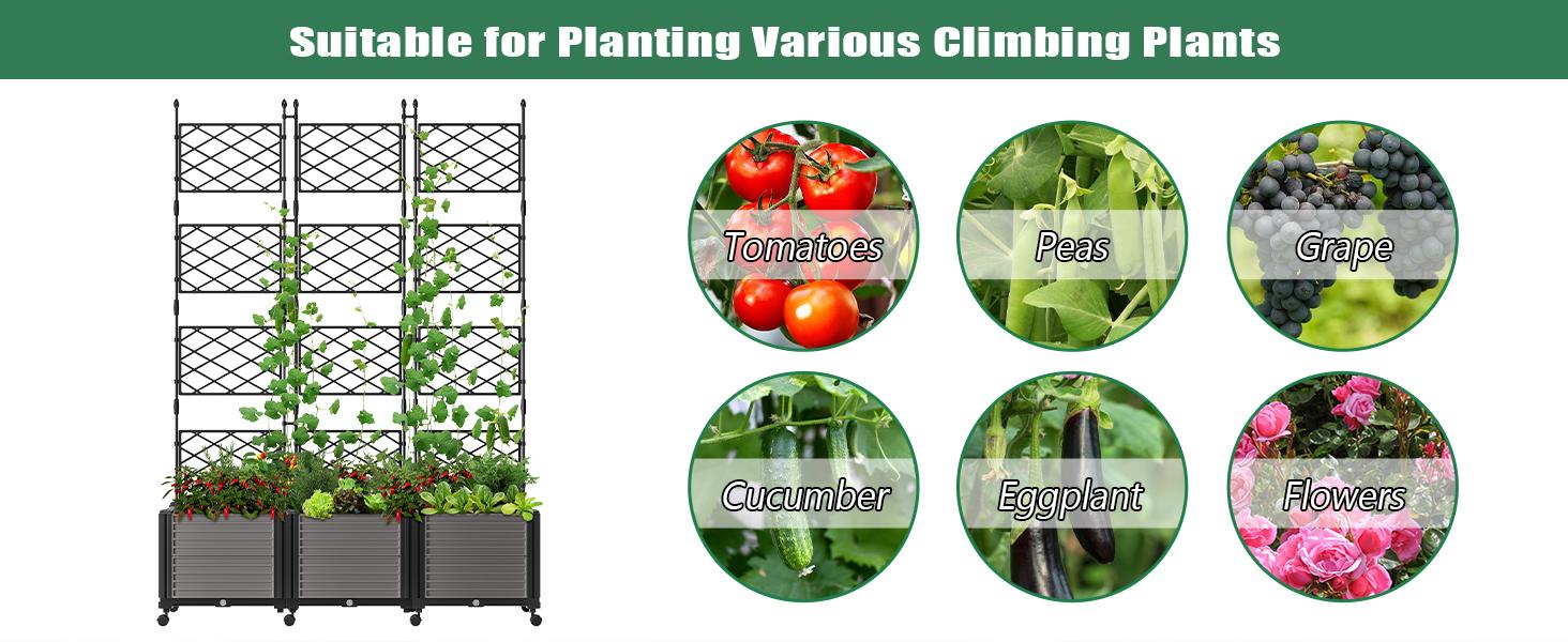 MOPHOTO Raised Garden Bed with Trellis & Wheels, Planter Box Privacy Screen Free-Standing Trellis for Vine Climbing Plants Flowers in Garden Patio Balcony