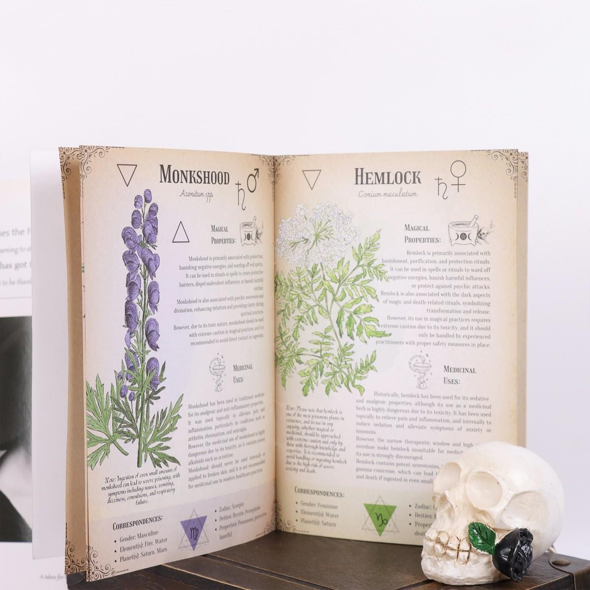 Gothic Skull and Plant Art Planner, Dark Romantic Floral Illustration Journal, Creative Notebook and Stationery Collection