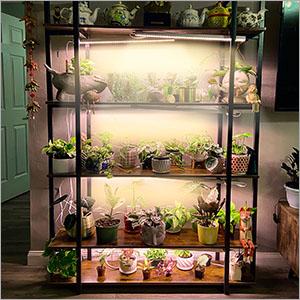 Barrina T5 Grow Lights, 1FT, Full Spectrum Sunlight, LED Grow Light Bulbs, Plug and Play, Yellow, 8 Packs