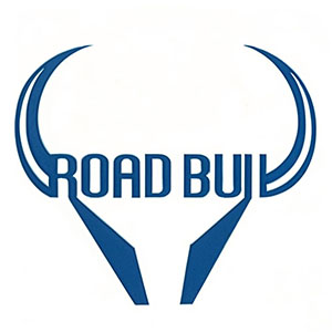Roadbull01