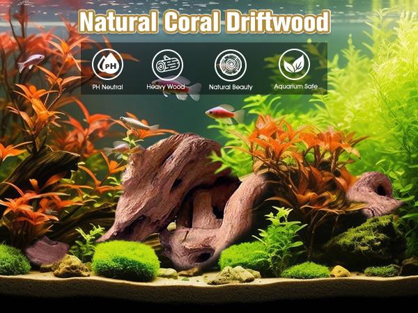 Driftwood for Aquarium Decor,Driftwood for Decorations on Fish Tank, Reptiles Bearded Dragon Accessories or Air Plants