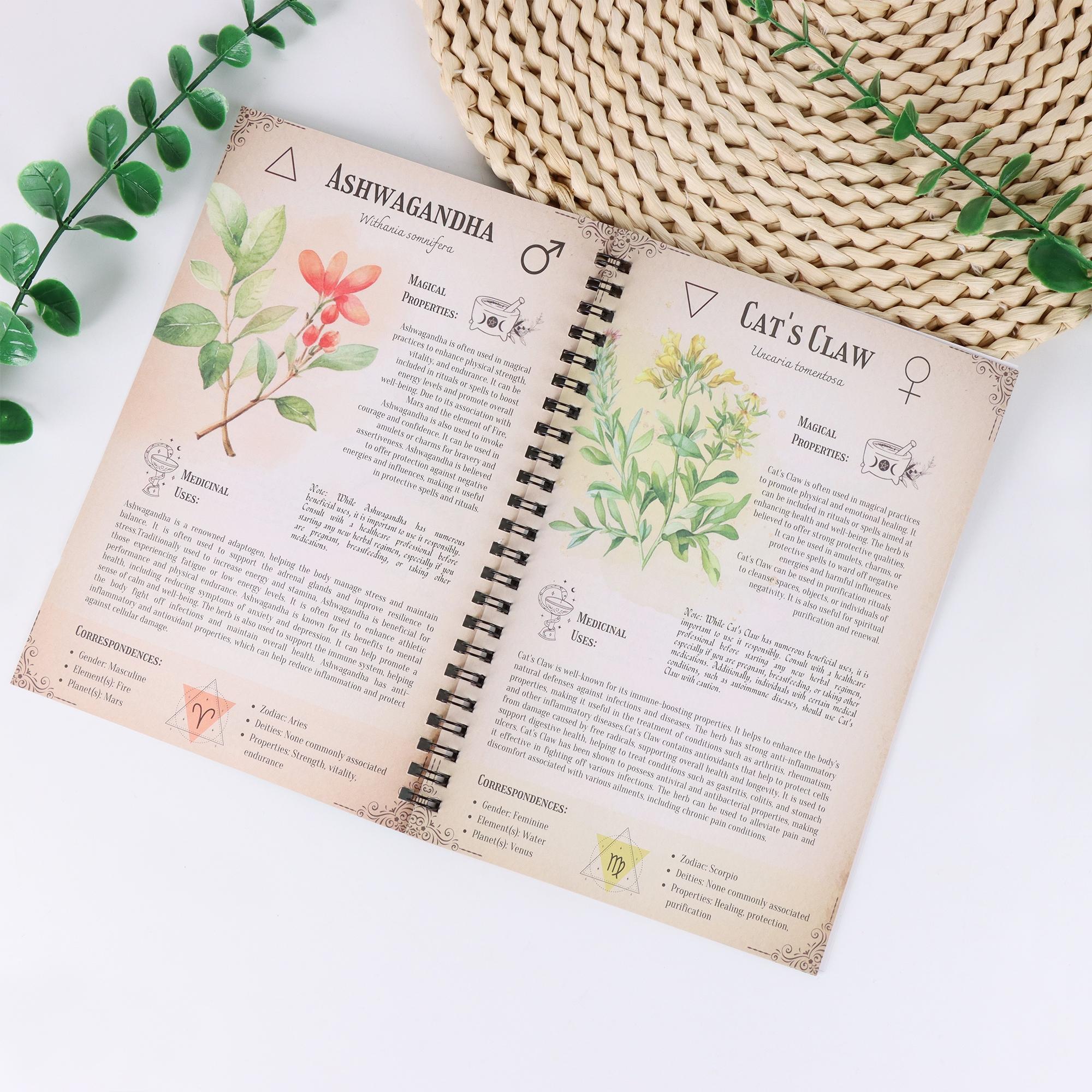 Medicinal Herbs Learning Notebook, Herbal Study Guide, Perfect for Nature Lovers, Christmas Gift Idea, Essential Botanical Journal, Spiral Notebook, Spiral Coil Notebook