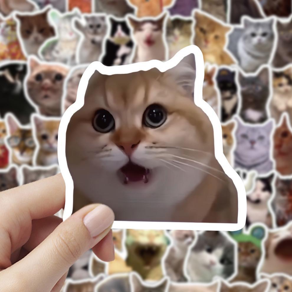 300 cat meme stickers, cute and funny quirky cat Instagram-style emoji and meme images