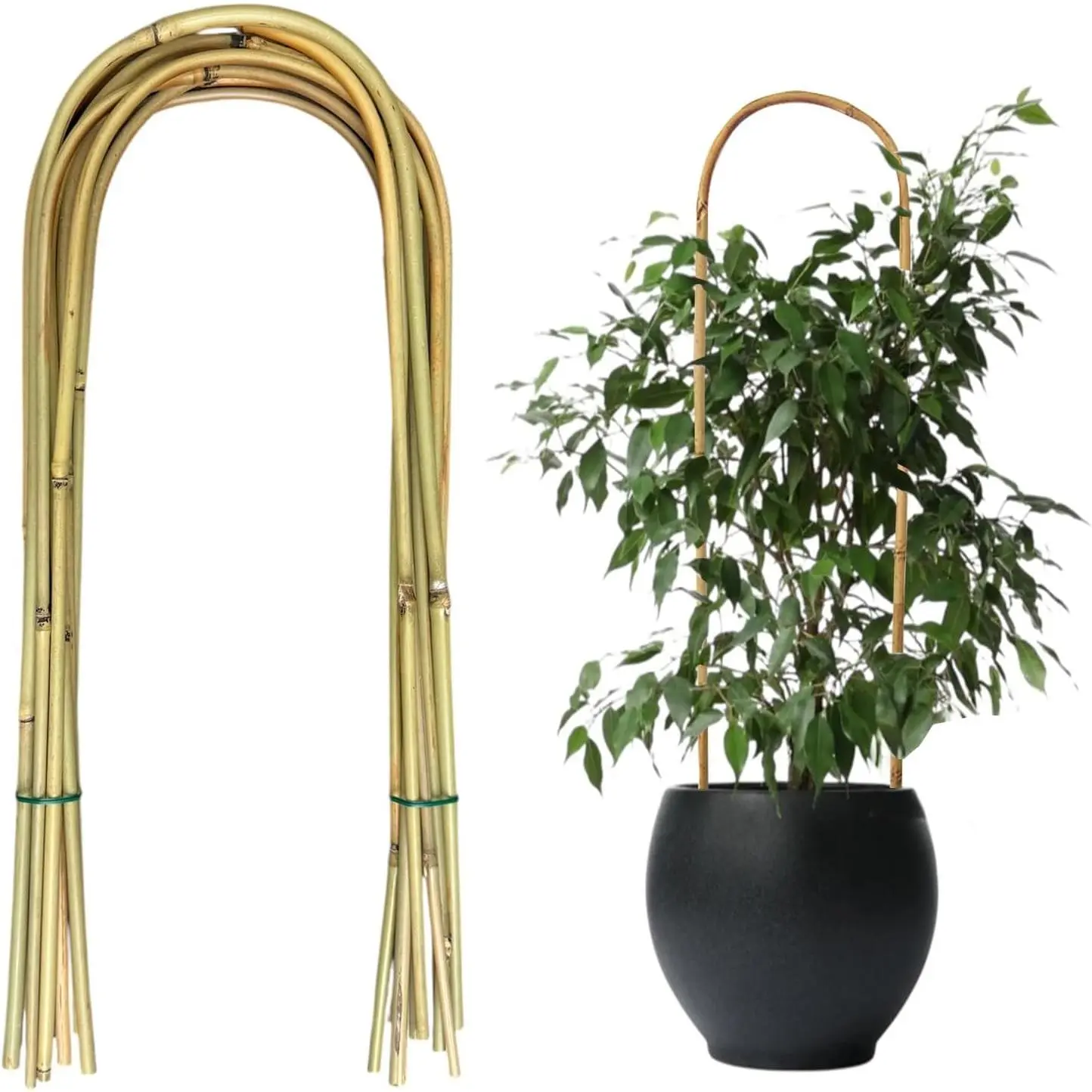 20 Pack Bamboo U Trellis for Potted Plants - 16 Inch U-Shaped Plant Support Hoop, Heavy-Duty Arch Stake for Climbing Vines Cucumbers, Indoor/Outdoor Rustic Garden Training Frame