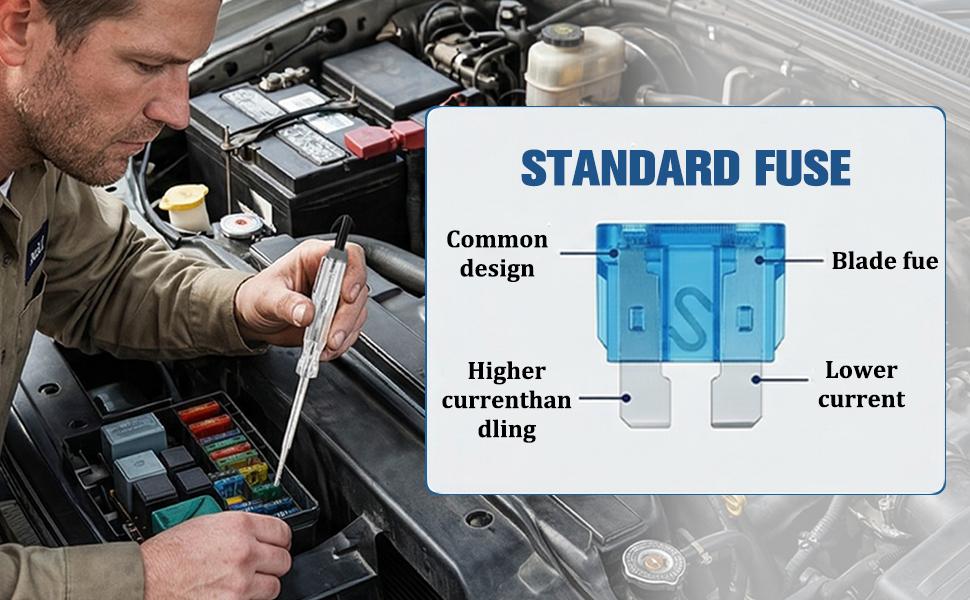 306Pcs Car Blade Fuses Assortment Kit, Standard/Mini/Low Profile Mini Mixed Fuse Set (2A 5A 7.5A 10A 15A 20A 25A 30A 35A), Replacement Accessories for Car Truck RV Automobiles