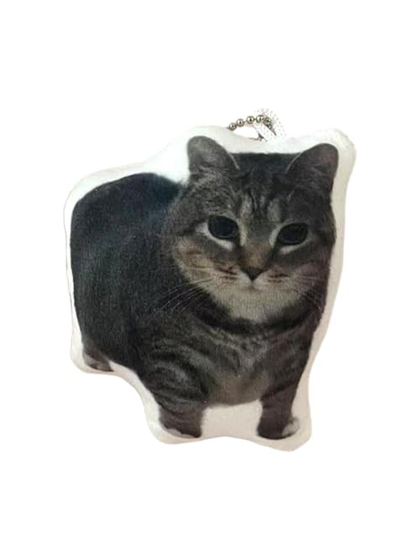 Oiiai Cat Plush Key Chain, Funny Rotating Cat Keychain with Voice, Cute Stuffed Cat Meme Pendant, Ideal for Kids and Adults