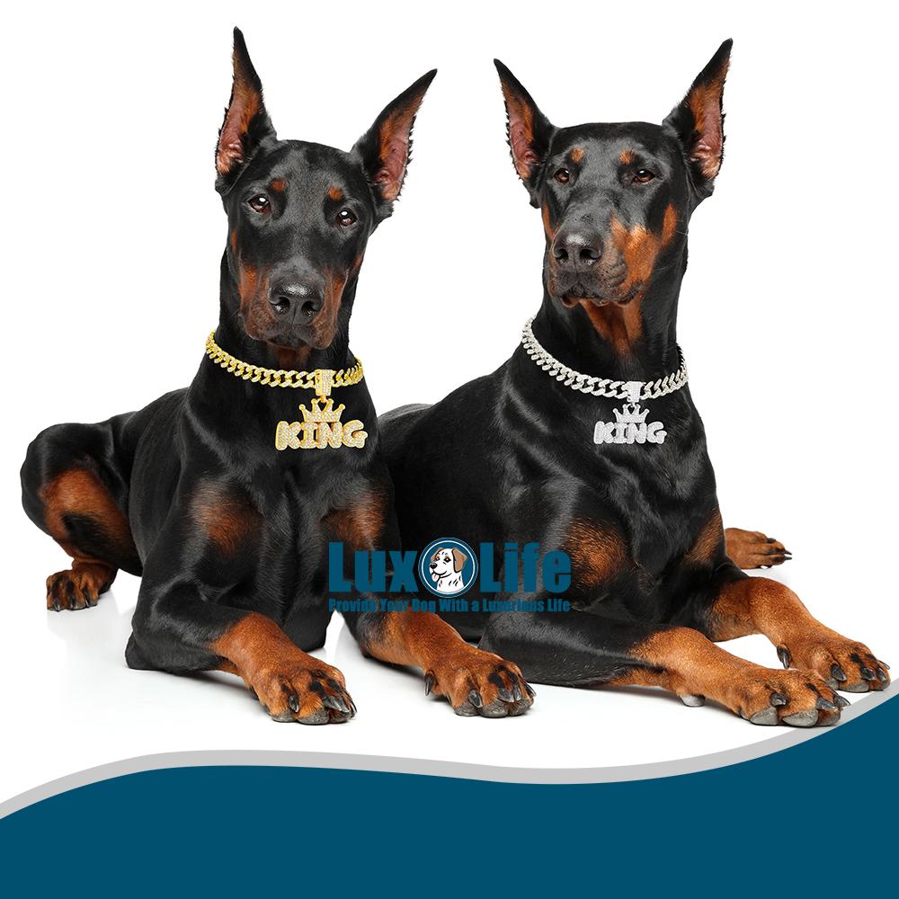 Gold Dog Chain Collar Necklace with diamond pendant "KING" letter Wearing a crown,Diamond Cuban Link Dog Collar 13mm Wide Dog Necklace Metal Cat Chain Pet Crystal Collar Jewelry Accessories for Small Medium Large Dogs Cats