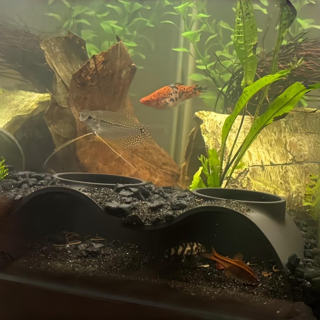Bionic Aquarium Cave System, Dual Entrance Curved Tunnel Group, Non-Toxic Resin Hideout for Small Fish Shrimp, Modular Eco-Friendly Decor Trunk