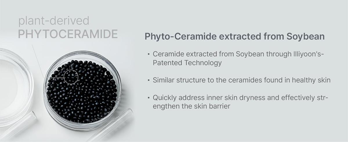 Sensitive Skincare Trio (Facial Cleanser, Milky Toner, Cream) | Hypoallergenic & Gentle on Sensitive Skin, Instant Hydration, Vegan Moisturizers for All Skin Types (8.45 fl.oz + 8.45 fl.oz + 6.76 fl.oz) Sensitive Skincare Trio (Facial Cleanser, Milky Toner, Cream) | Hypoallergenic & Gentle on Sensitive Skin, Instant Hydration, Vegan Moisturizers for All Skin Types (8.45 fl.oz + 8.45 fl.oz + 6.76 fl.oz)