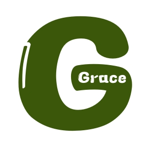 Grace fashion bags