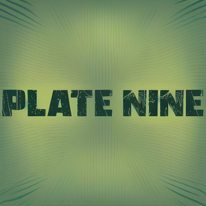 PLATE NINE