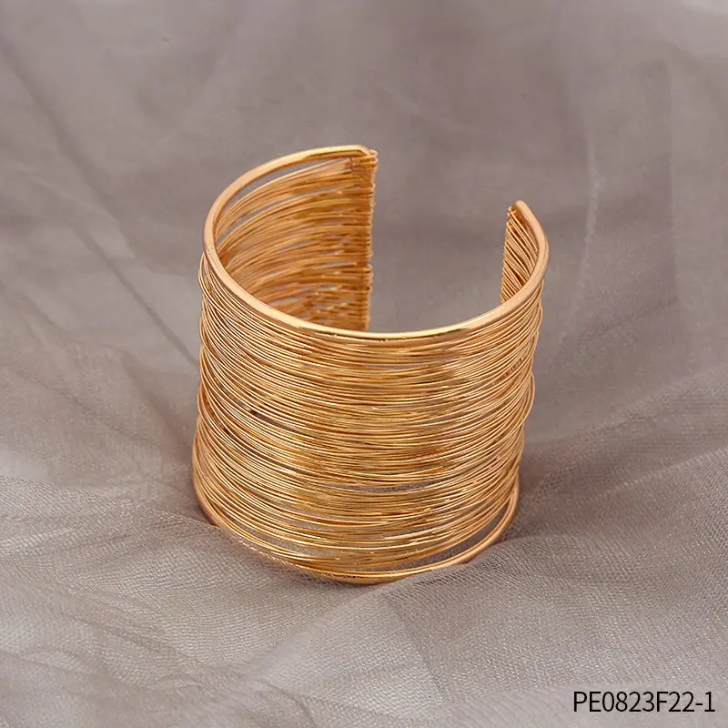PE0823F22-1